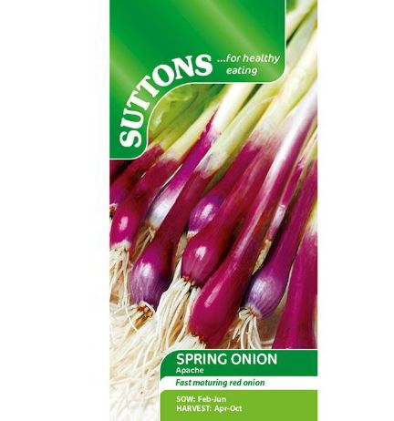 Onion (Salad) &