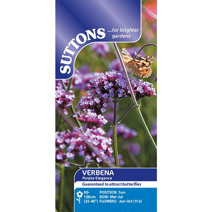 Verbena Flower Seeds