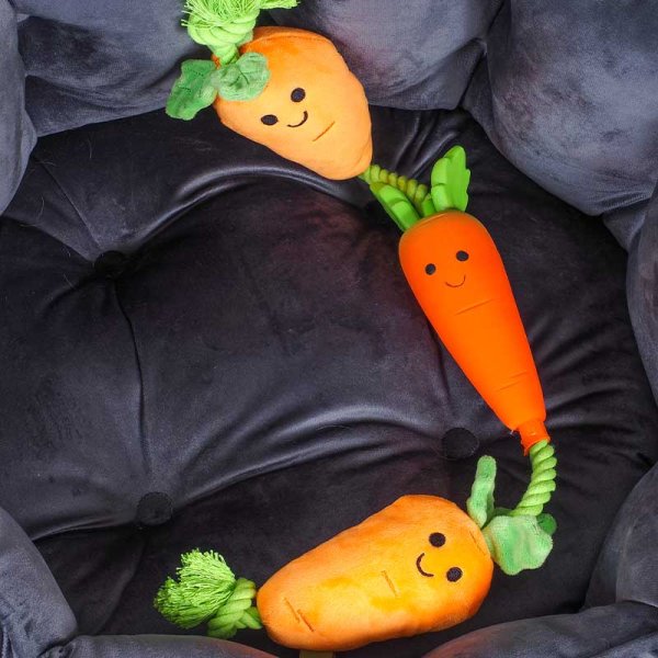 Tugga Carrots