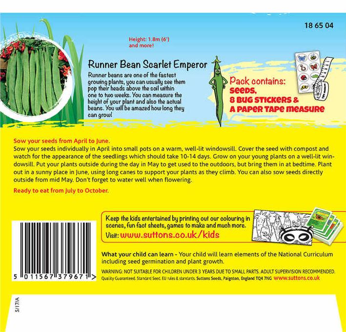 Runner Bean &