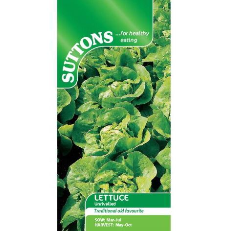 Lettuce &