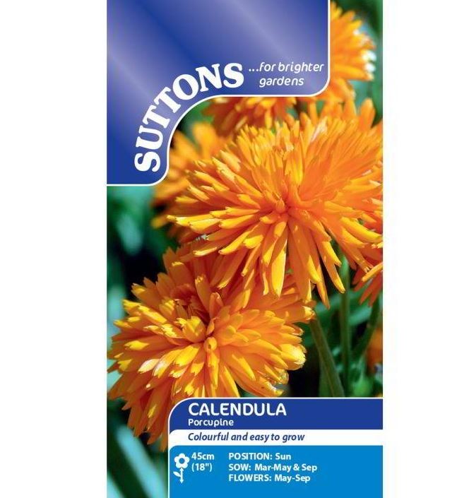Calendula &