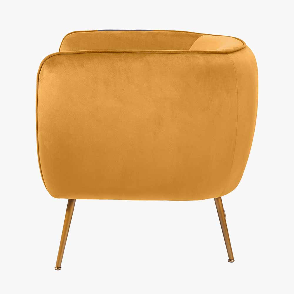 Lucca Gold Velvet and Metal Armchair