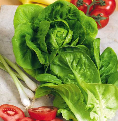 Lettuce &