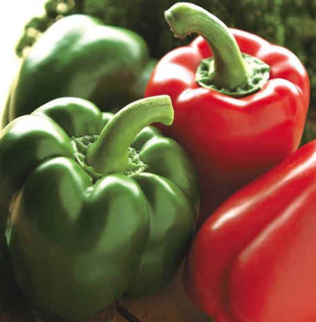 Pepper Sweet &