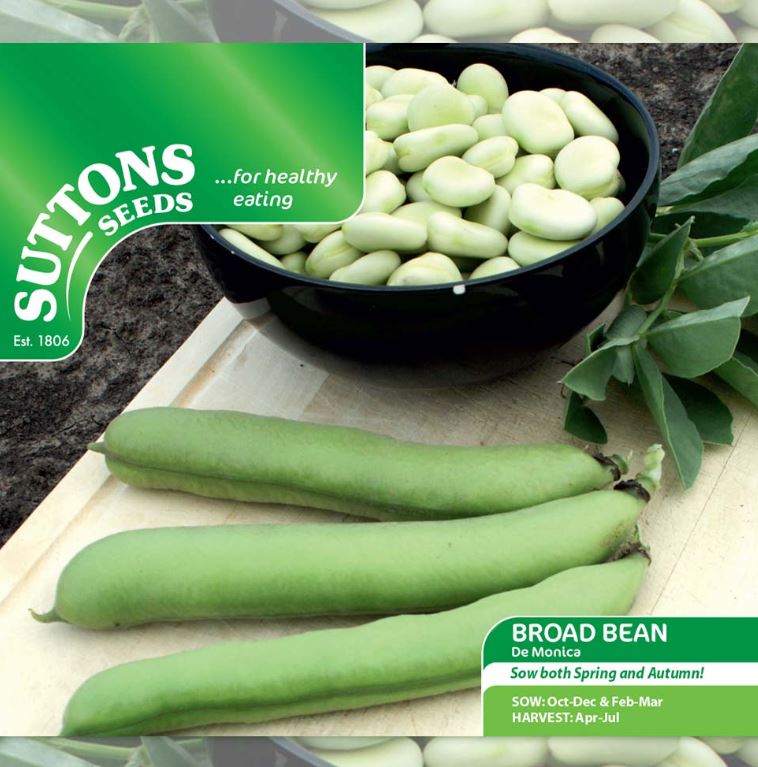 Broad Bean &