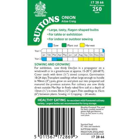 Onion &