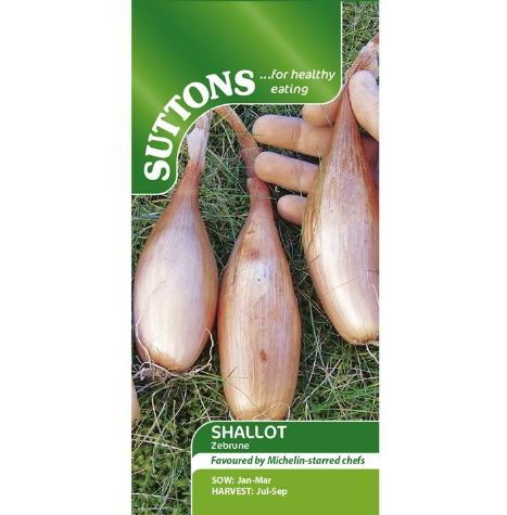 Shallot Banana &