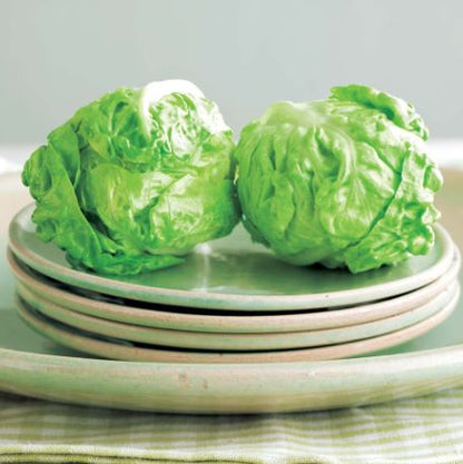 Lettuce &