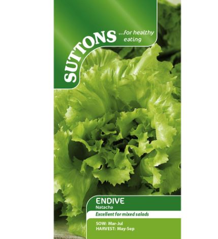 Endive &
