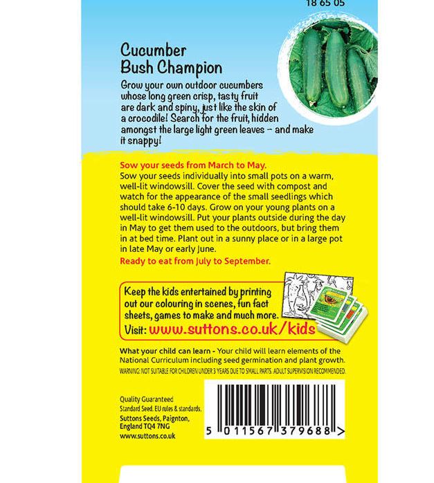Cucumber &