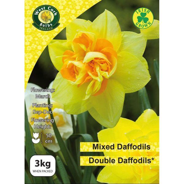 Daffodils Mixed Doubles - 3kg