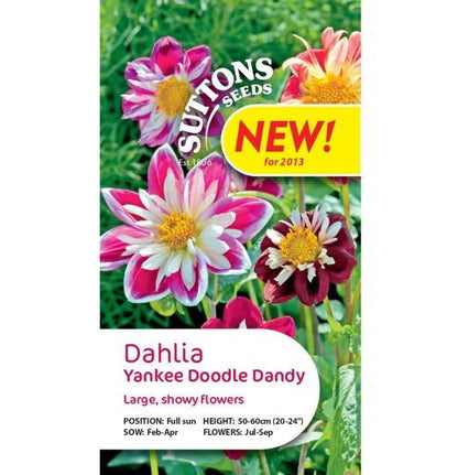 Dahlia &
