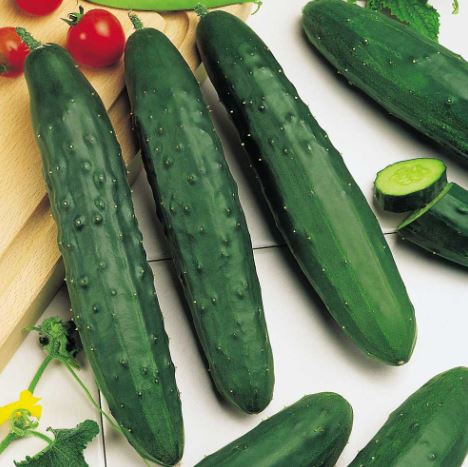 Cucumber &