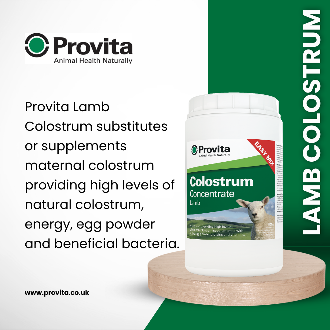 Provita Lamb Colostrum 1.25kg