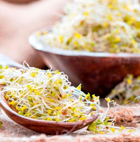 Sprouting &