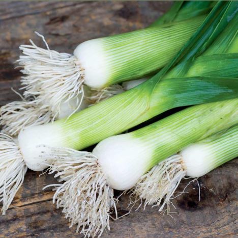 Leek &
