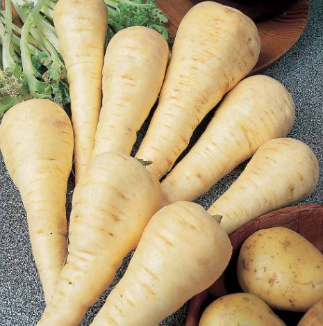 Parsnip F1 &