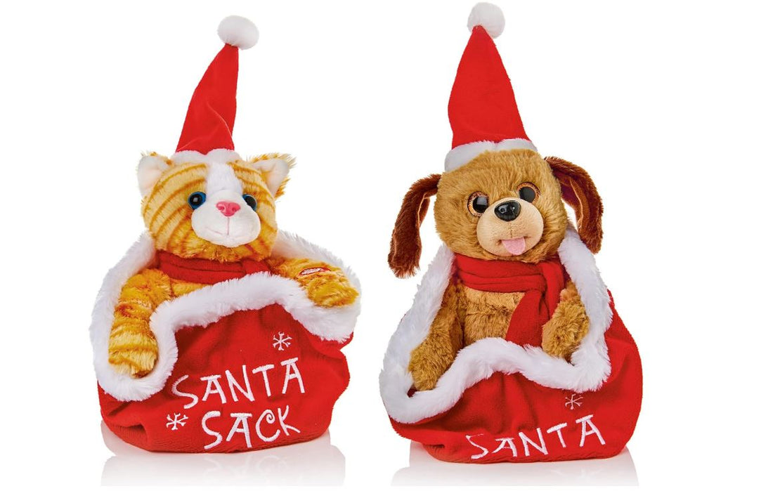 Premier 24cm Peek-a-Boo Cat or Dog (One Chosen)