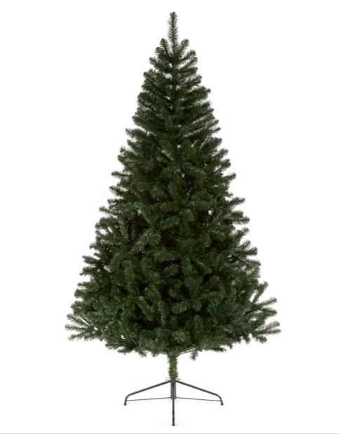 Woodcote Spruce - 2.1m