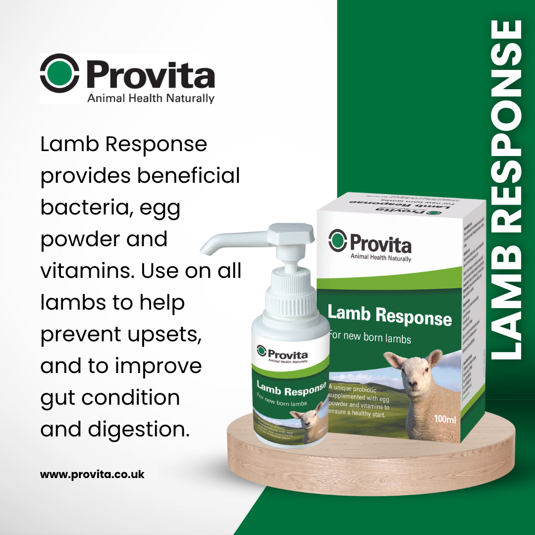 Provita Lamb Response 100ml