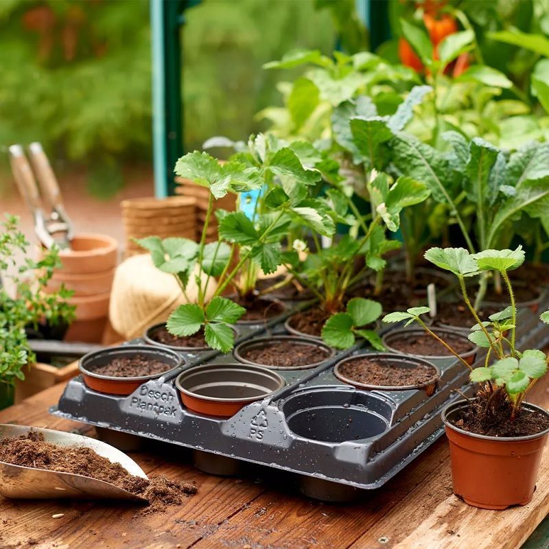 Gro-Sure Growing Tray 18 Pot Round