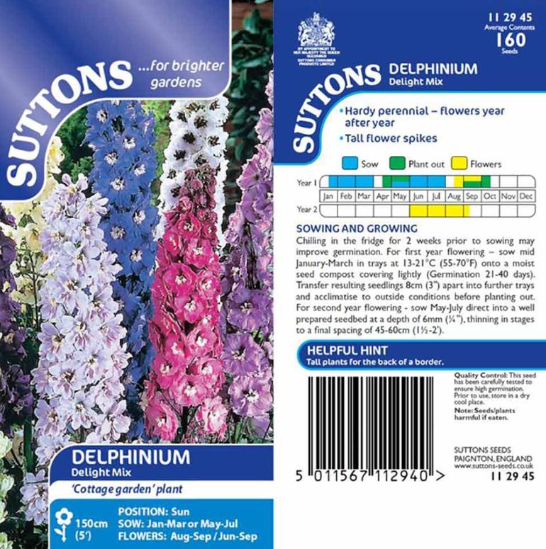 Delphinium &