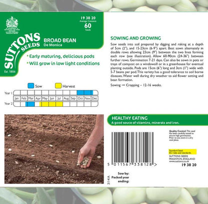 Broad Bean &
