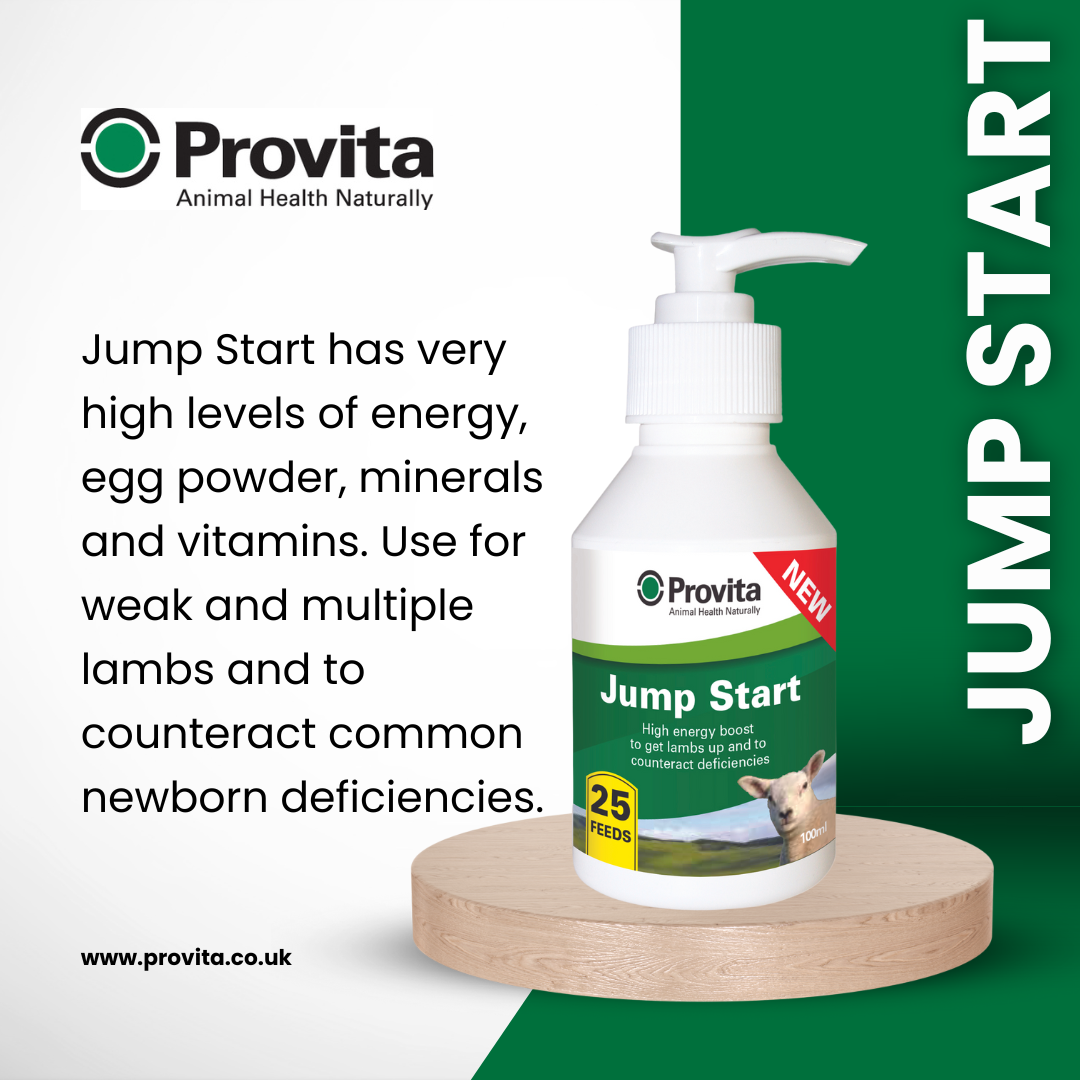 Provita Jump Start For Lambs 100ml