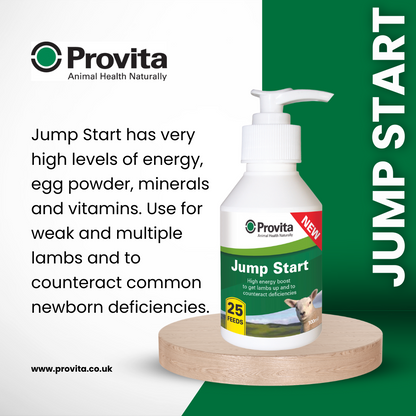 Provita Jump Start For Lambs 100ml