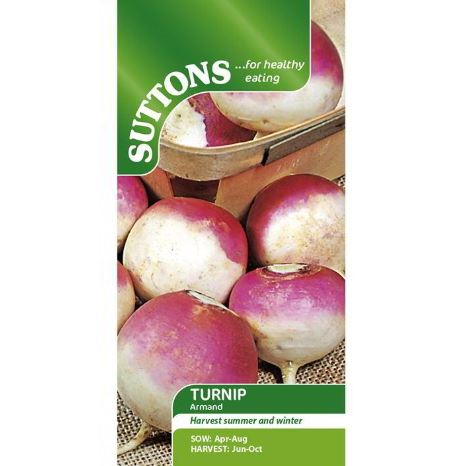 Turnip &