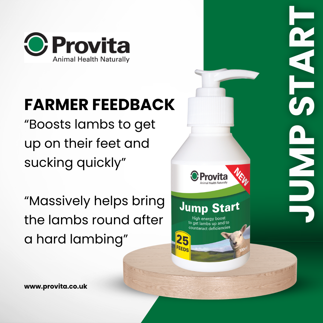 Provita Jump Start For Lambs 100ml