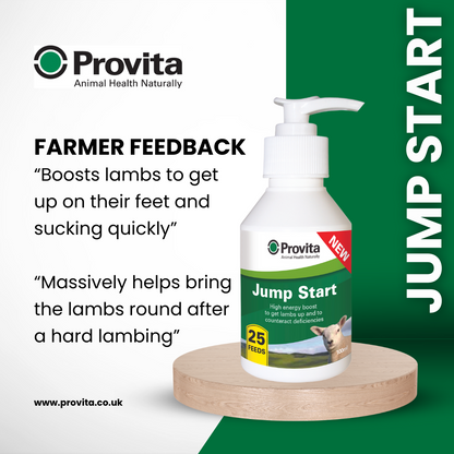 Provita Jump Start For Lambs 100ml