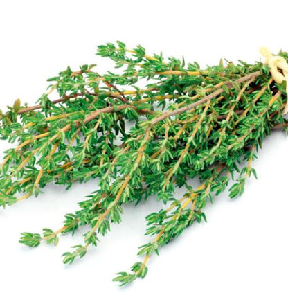 Thyme &