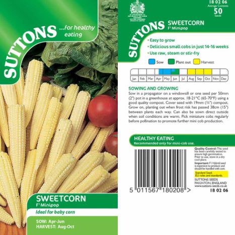 Sweet Corn F1 &