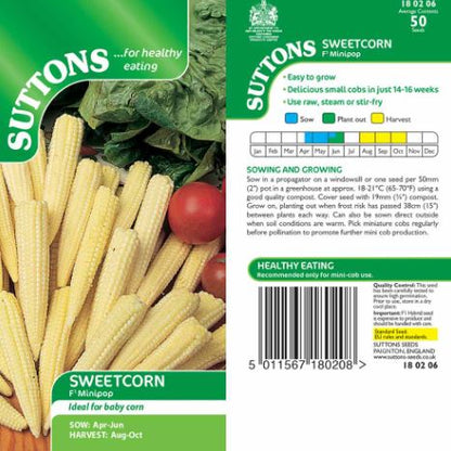 Sweet Corn F1 &
