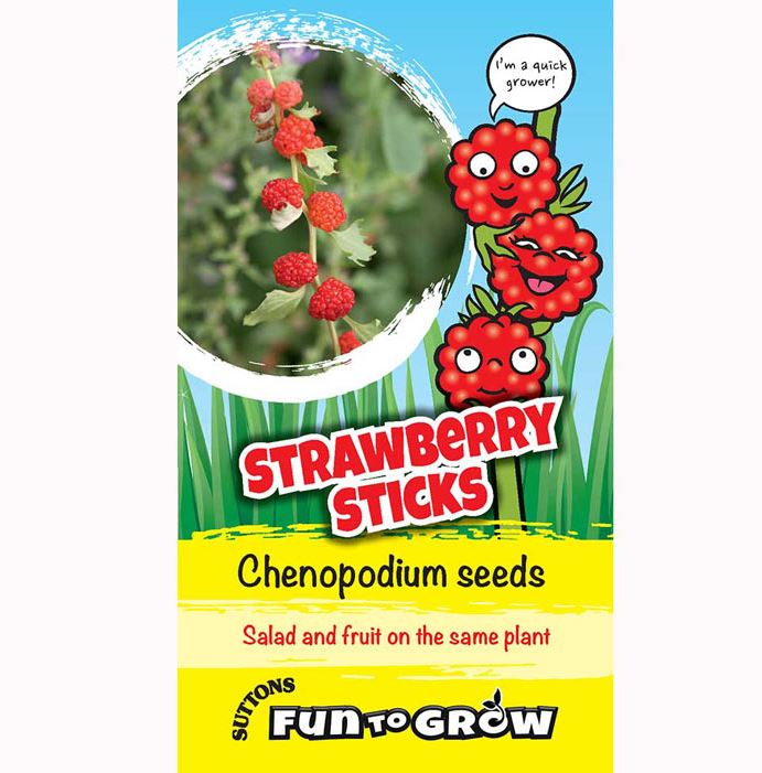 Chenopodium &