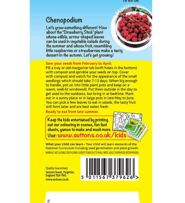 Chenopodium &