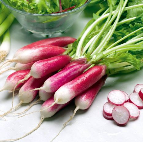 Radish &
