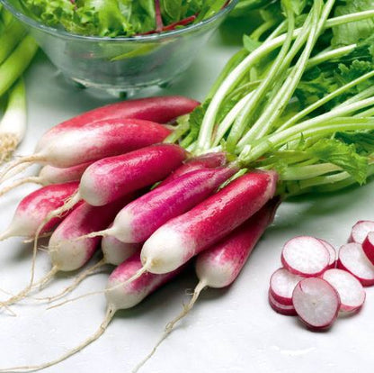 Radish &