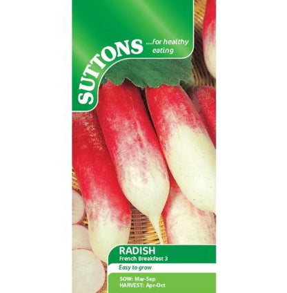 Radish &