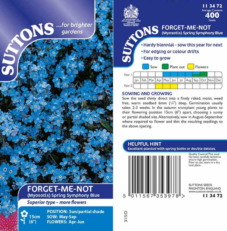 Forget-Me-Not &