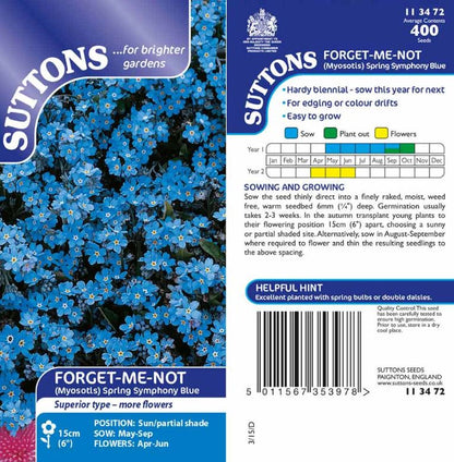 Forget-Me-Not &