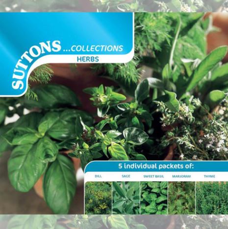 Herb Collection - Seeds