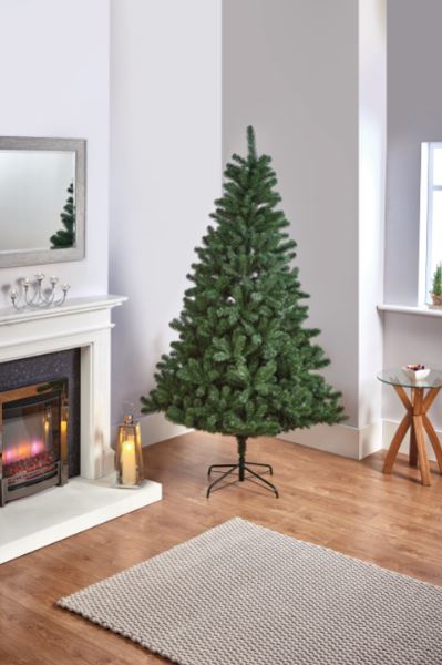 Woodcote Spruce - 2.1m