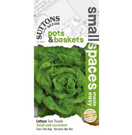 Lettuce &
