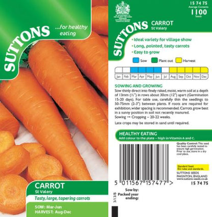 Carrot &