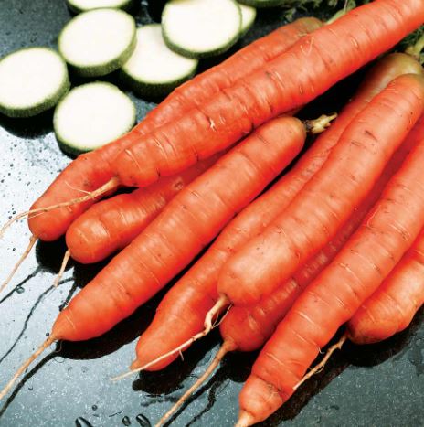 Carrot &
