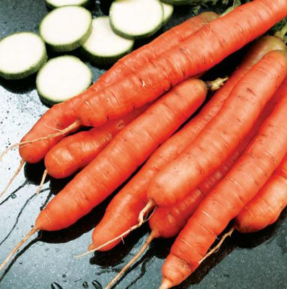 Carrot &
