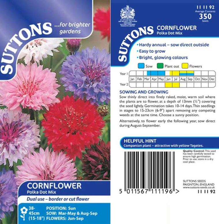 Cornflower &